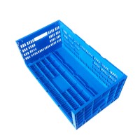 GOOD quality plastic industry egg box used in KFC