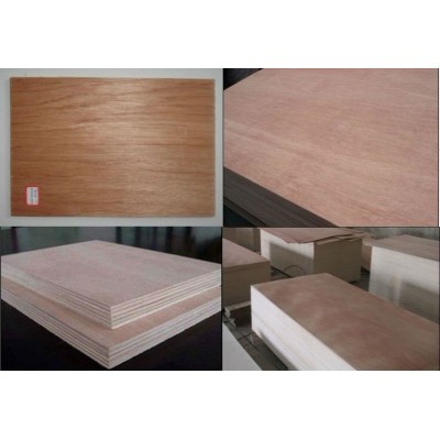 BB Grade Poplar Plywood for Furniture From Shangdong