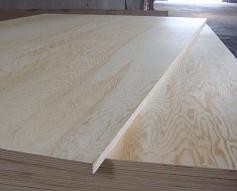 pine plywood