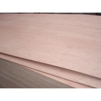 bitangor plywood