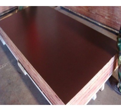 starplex brown film faced plywood price