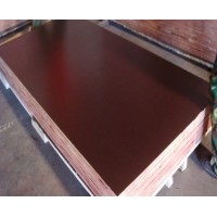 starplex brown film faced plywood price